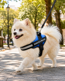 Arnés Personalizado para Perros con Nombre y Teléfono