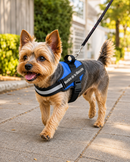 Arnés Personalizado para Perros con Nombre y Teléfono