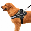 Arnés Personalizado para Perros con Nombre y Teléfono