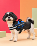 Arnés Personalizado para Perros con Nombre y Teléfono