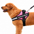 Arnés Personalizado para Perros con Nombre y Teléfono