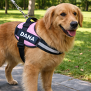 Arnés Personalizado para Perros con Nombre y Teléfono