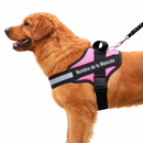 Arnés Personalizado para Perros con Nombre y Teléfono