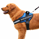 Arnés Personalizado para Perros con Nombre y Teléfono
