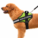 Arnés Personalizado para Perros con Nombre y Teléfono