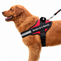 Arnés Personalizado para Perros con Nombre y Teléfono