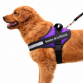 Arnés Personalizado para Perros con Nombre y Teléfono
